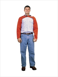 Picture of Red Ram Leather Sleeves
