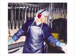 Picture of STG  Vinyl Aprons
