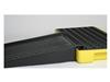Eagle® Low Profile Ramp