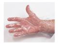 Disposable Polyethylene Gloves