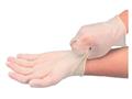 Disposable Vinyl Gloves: Powdered & Powder-Free